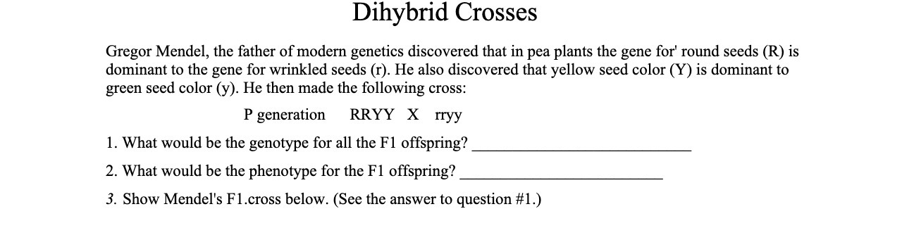 Dihybrid Crosses Gregor Mendel, the father of