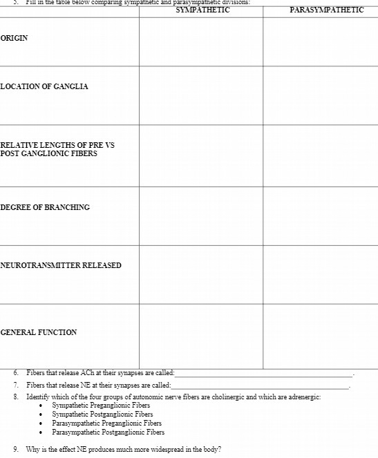 III in the table below compari g sympathetic and