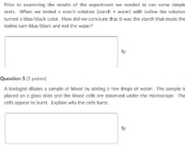 Prior to examining the maruti of lewis. When we