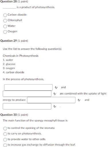 Question 28 (1 point) is a product of