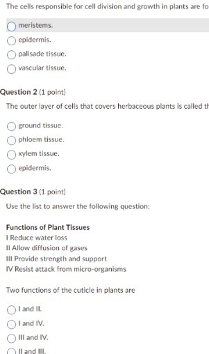 The cells responsible for cell division and