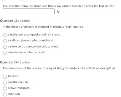 The cells that form the structures that allow