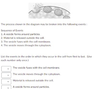 The process shown in the diagram may be broken