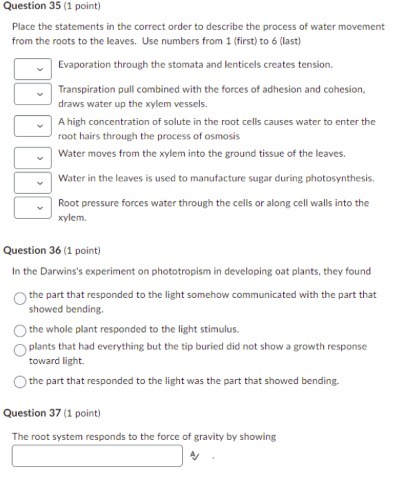 Question 35 (1 point) Place the statements in the