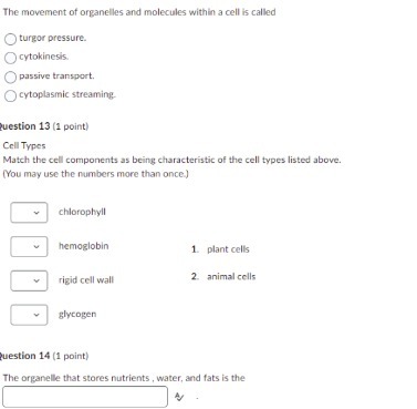 The movement of organelles and molecules within a