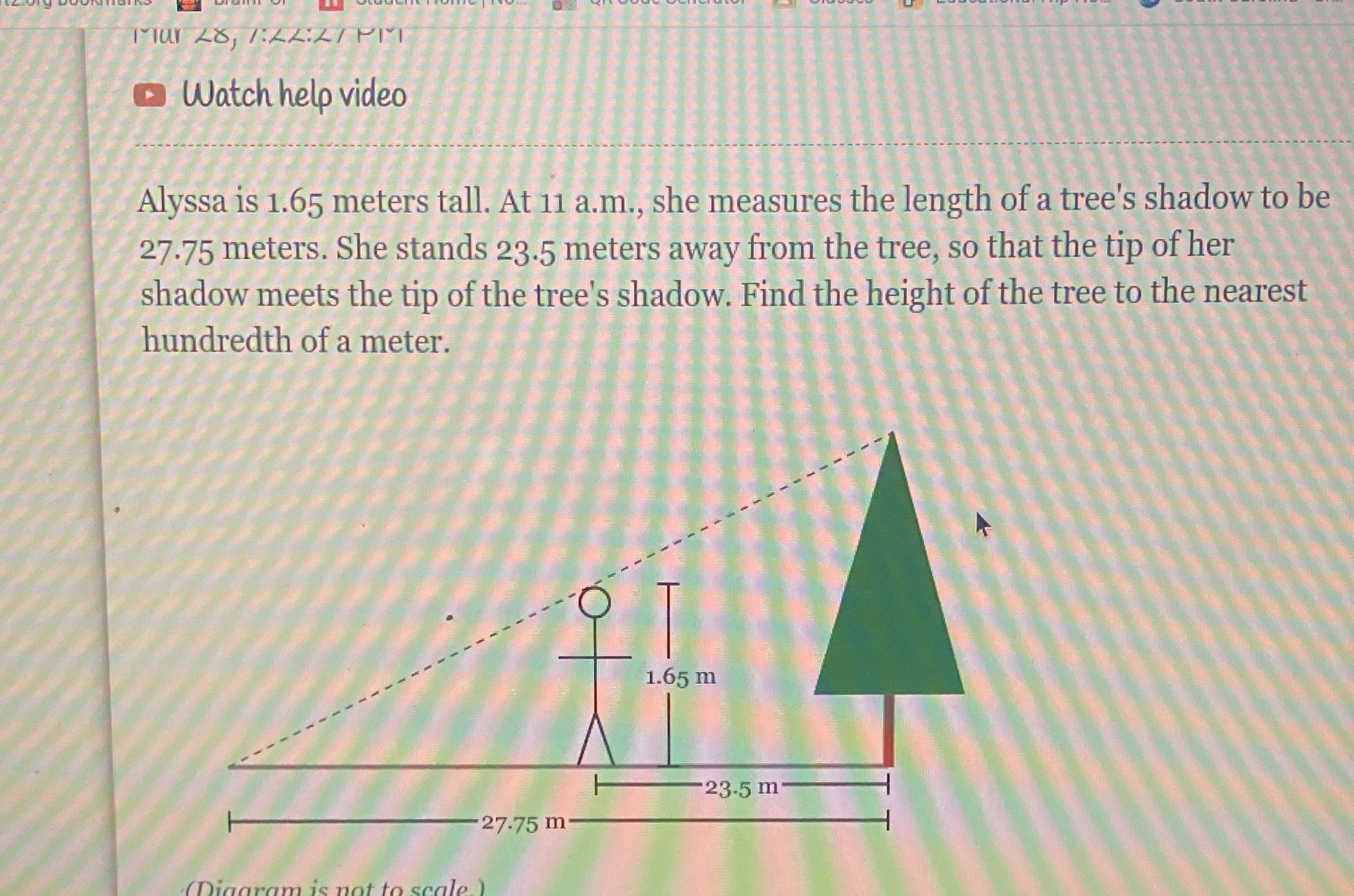 I need help I don't understand this homework