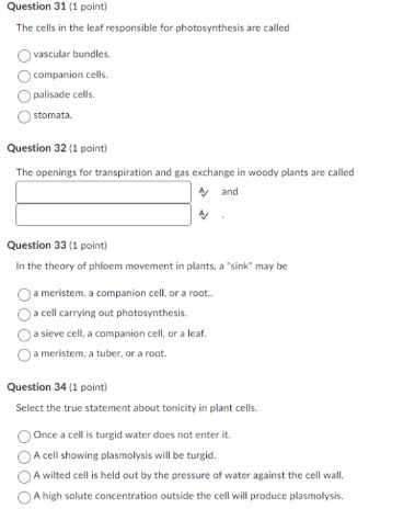 Question 31 (1 point) The cells in the leaf