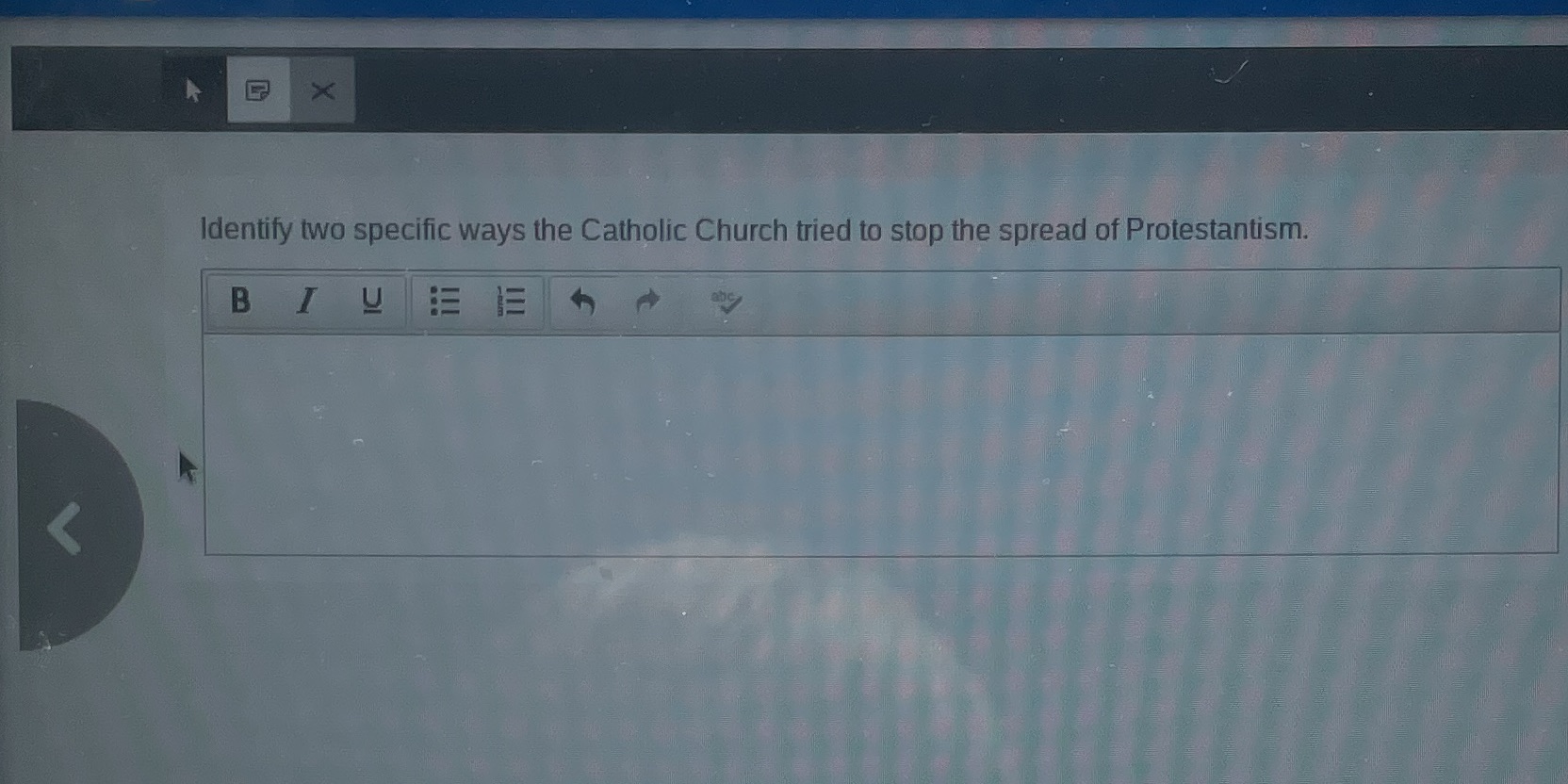 X Identify two specific ways the Catholic Church