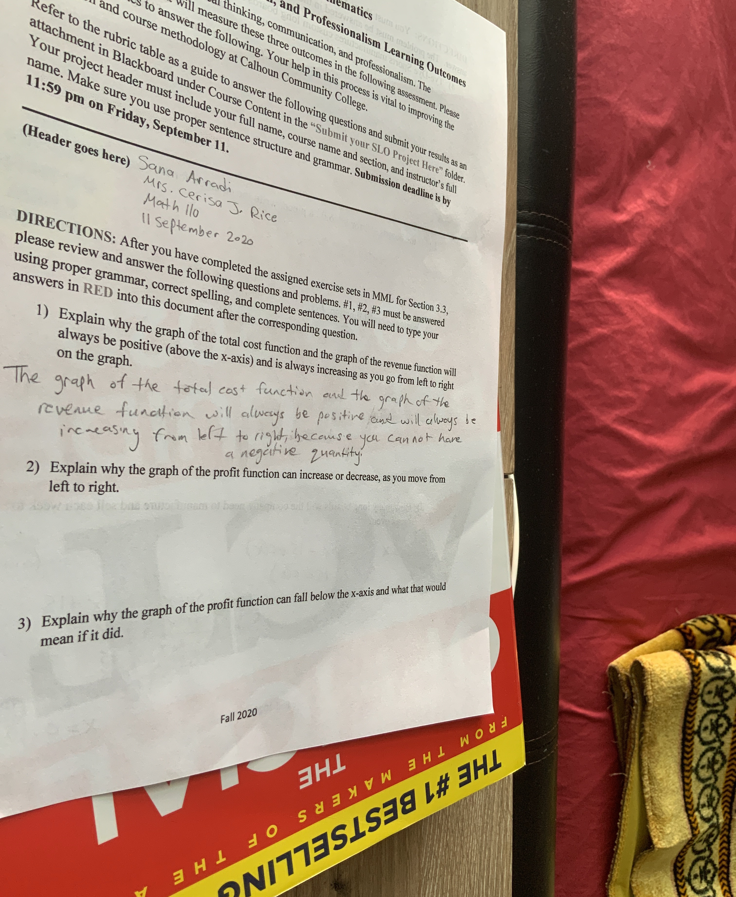 lematics ; and Professionalism Learning Outcomes