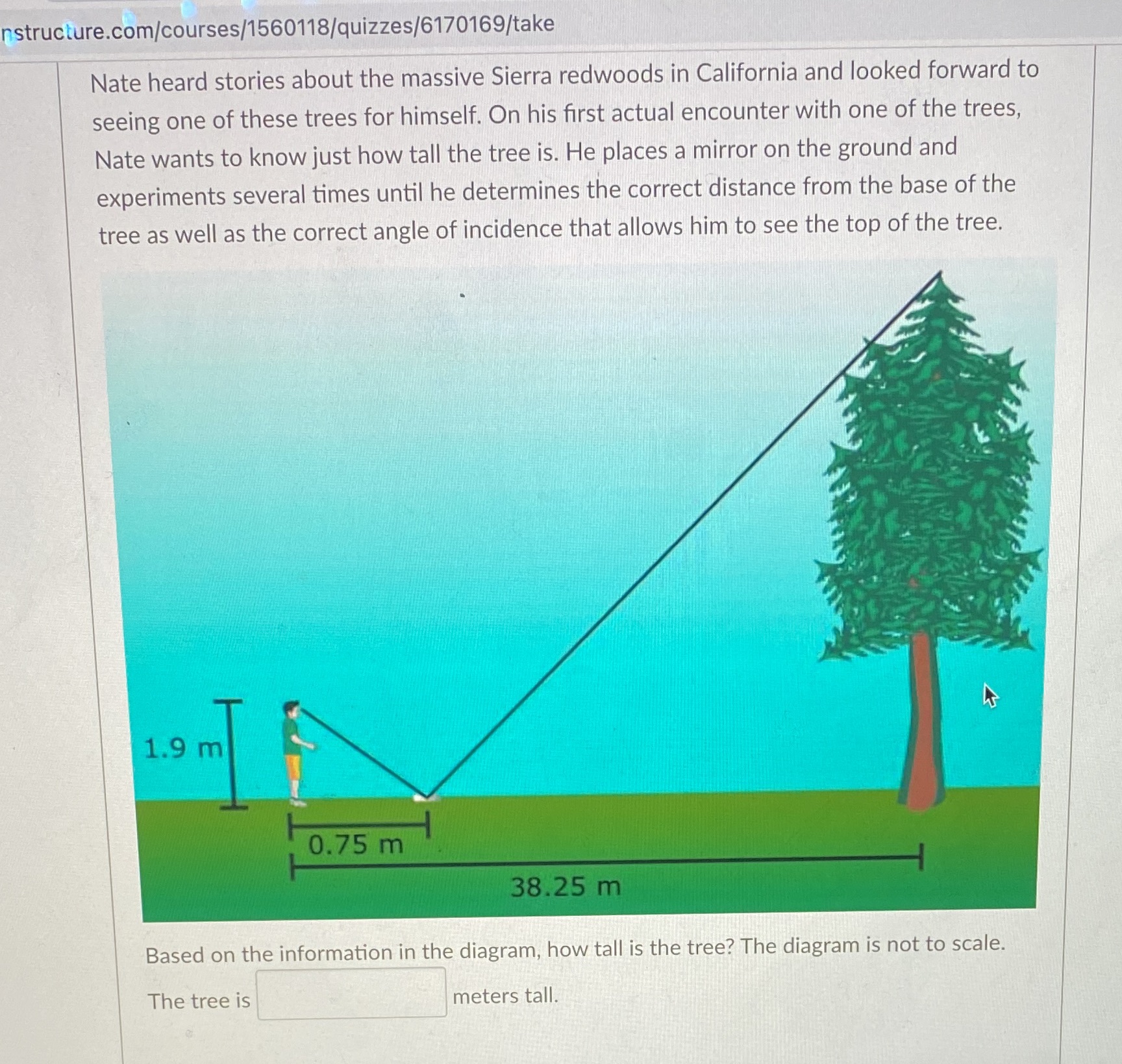 nstructure.com/courses/1560118/quizzes/6170169/tak