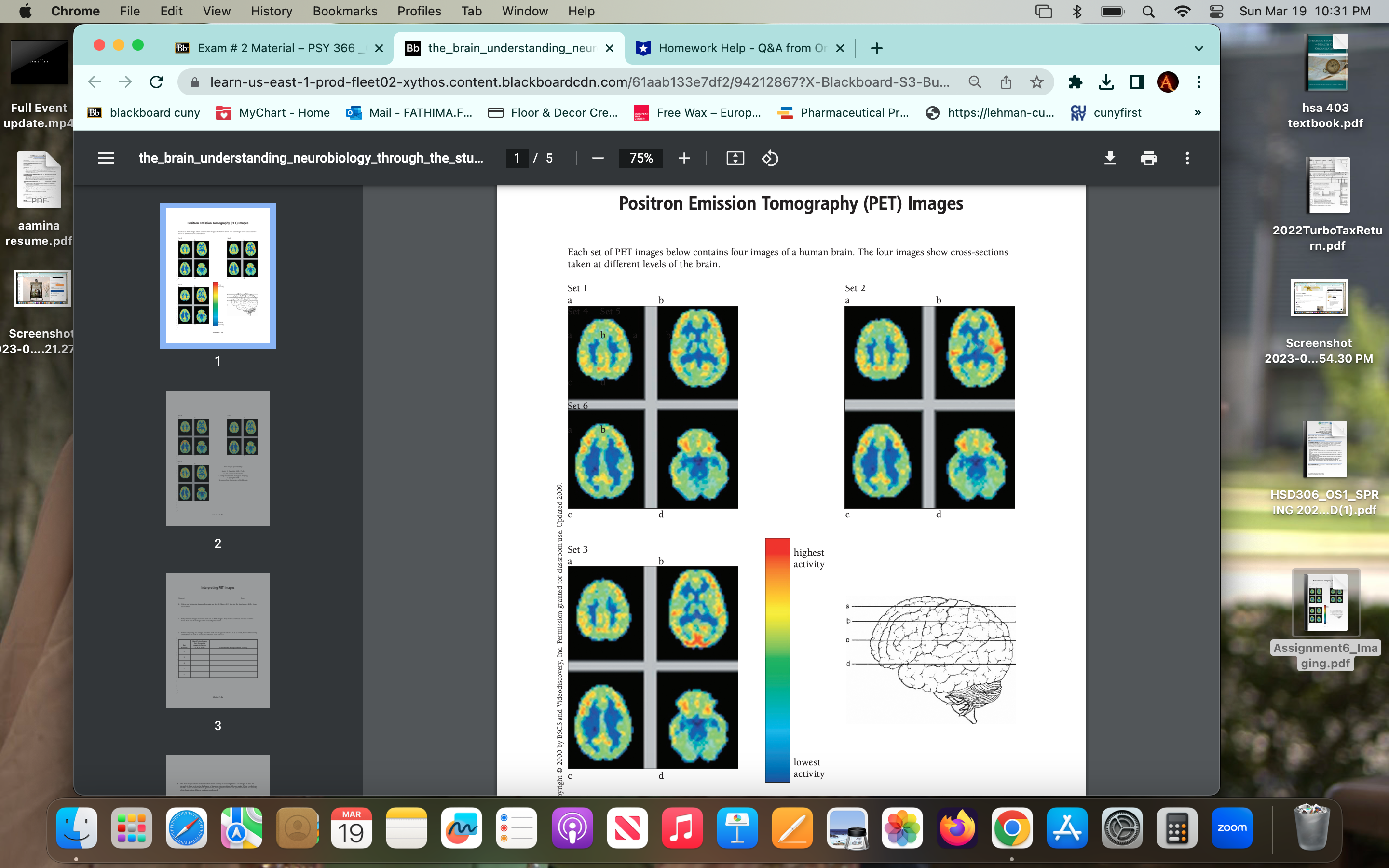 Chrome File Edit View History Bookmarks Profiles