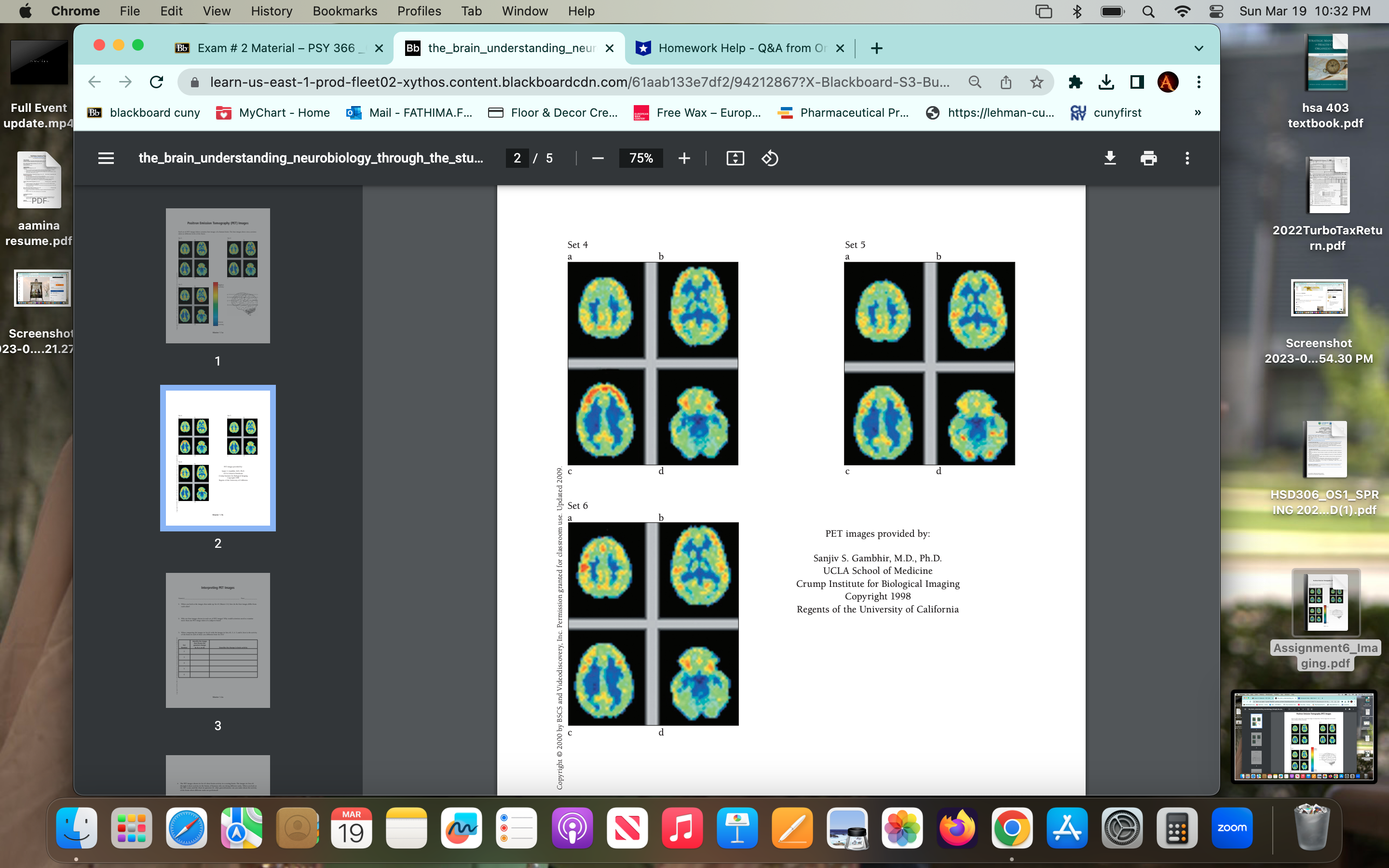 Chrome File Edit View History Bookmarks Profiles