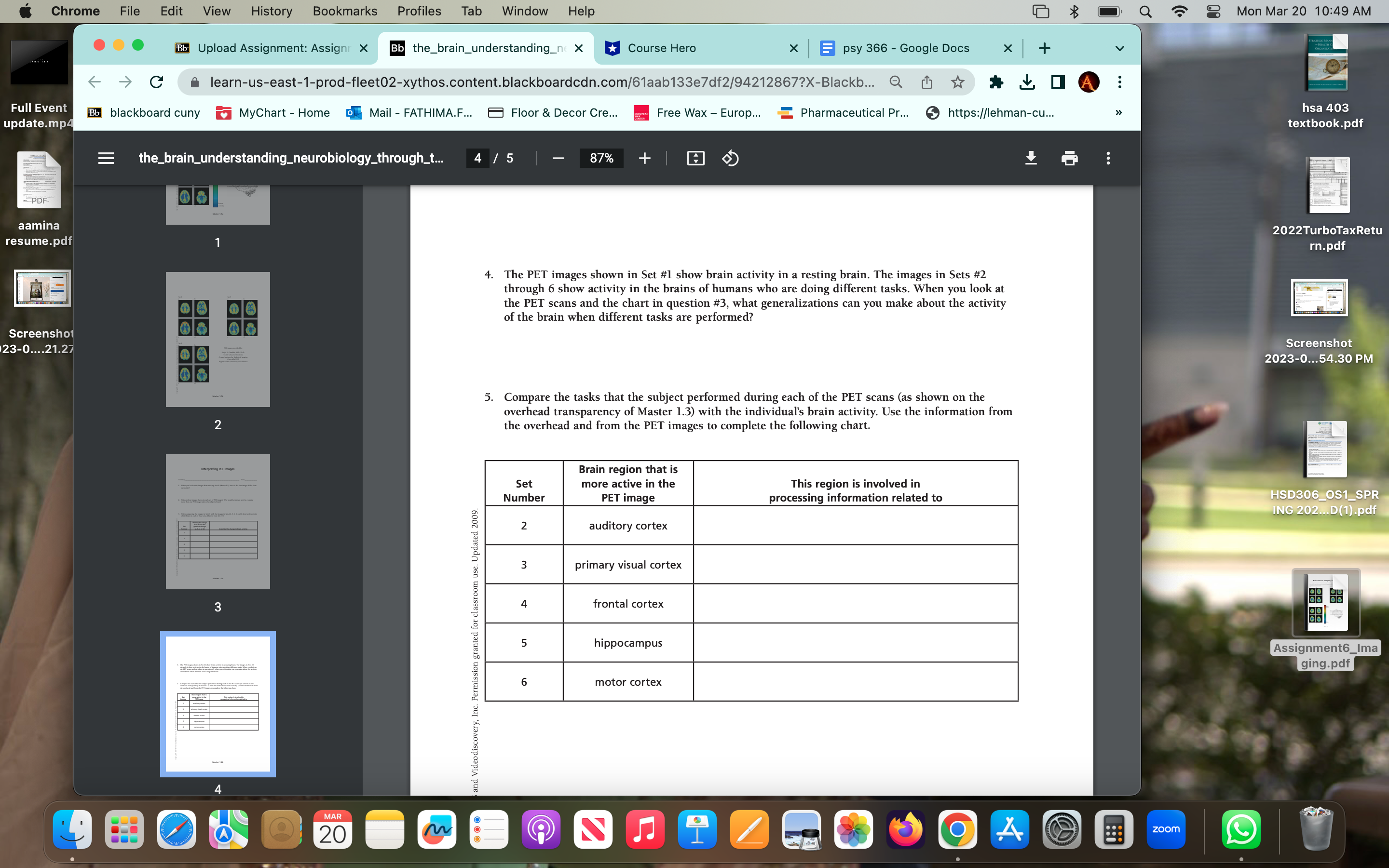 Chrome File Edit View History Bookmarks Profiles