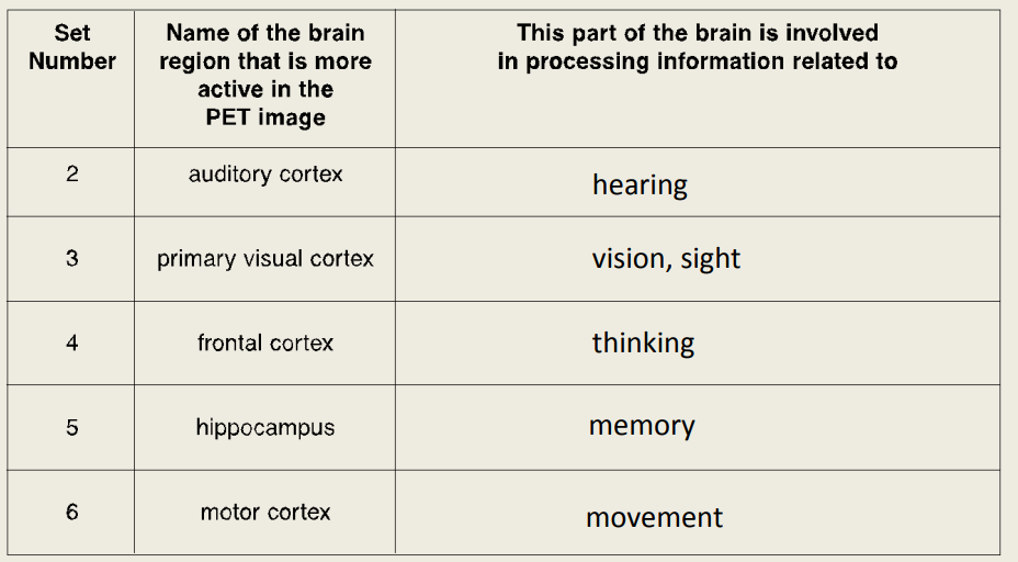 Chrome File Edit View History Bookmarks Profiles