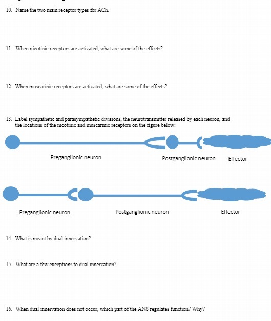 10. Name the two main receptor types for ACh. 11.