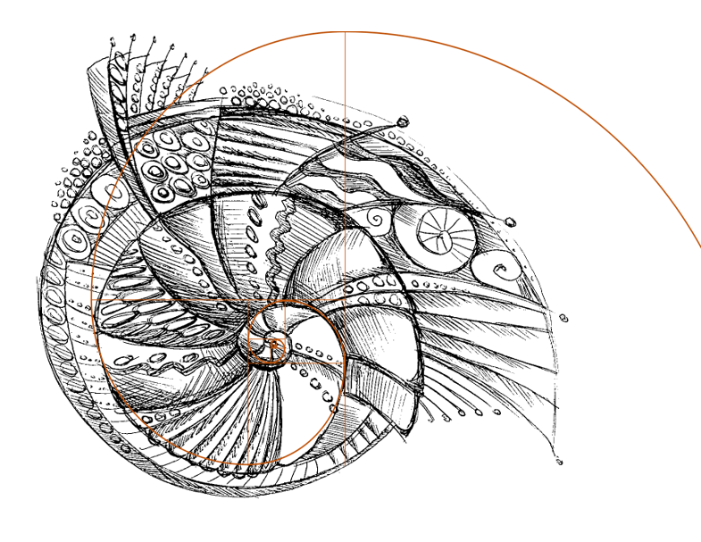 EXPLAIN WHY IS THIS GOLDEN RATIO IN (ONE FIFTY