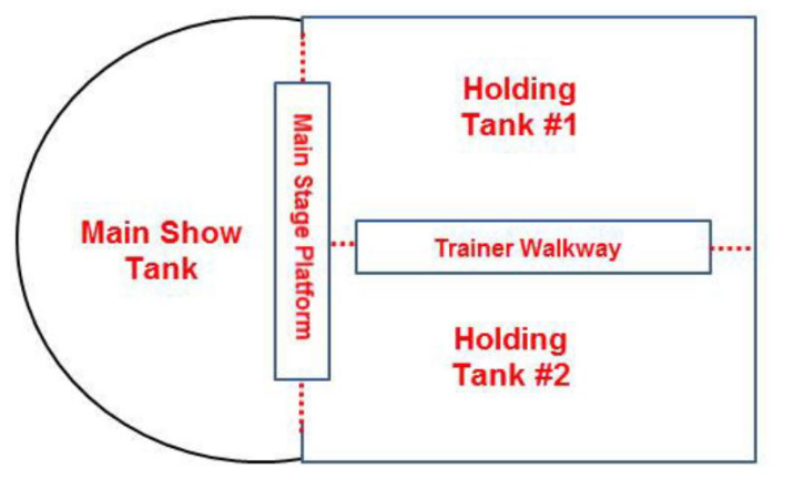 The aquarium is Coming to Town! An aquarium in