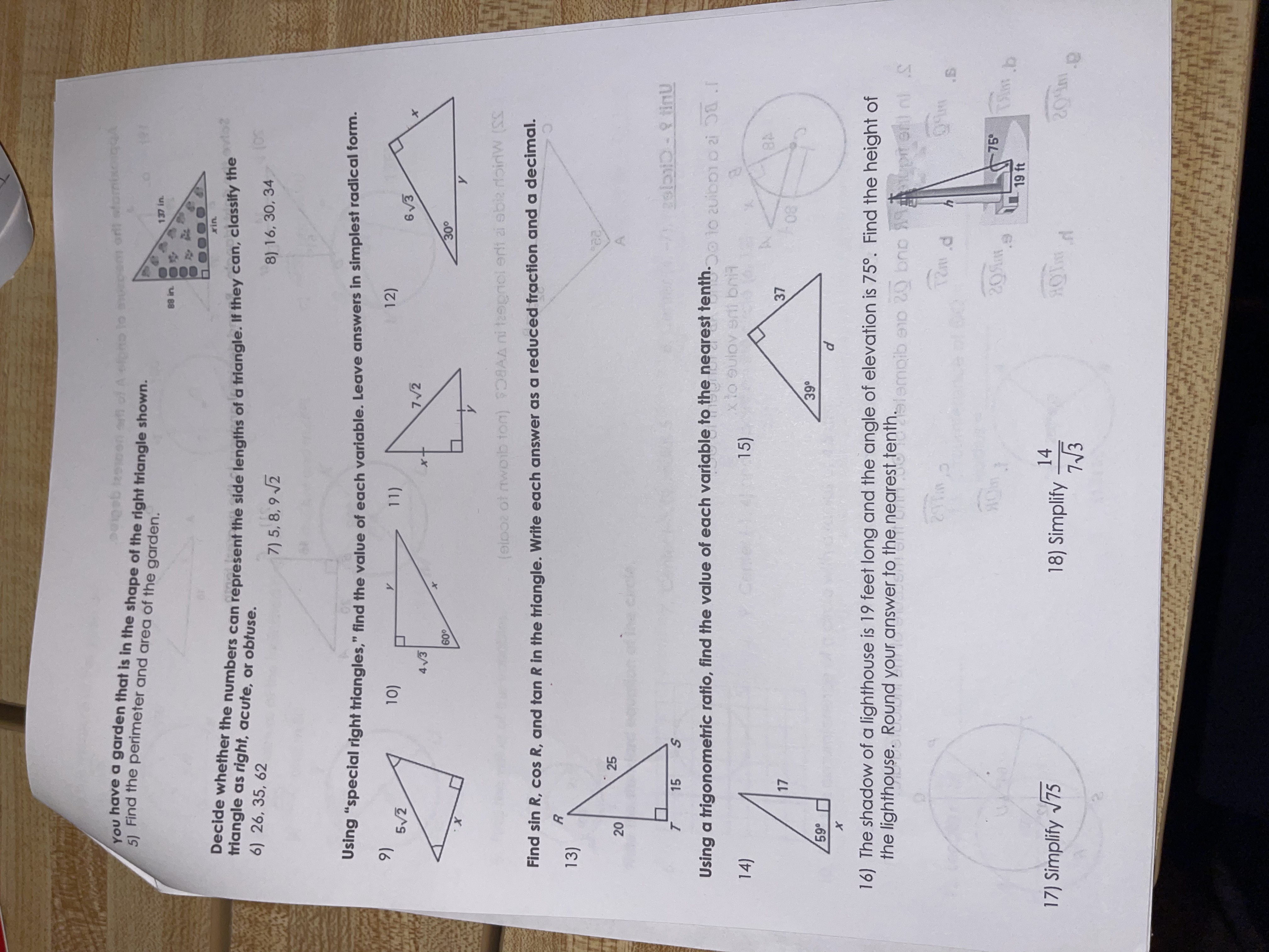 You have a garden that is in the shape of the