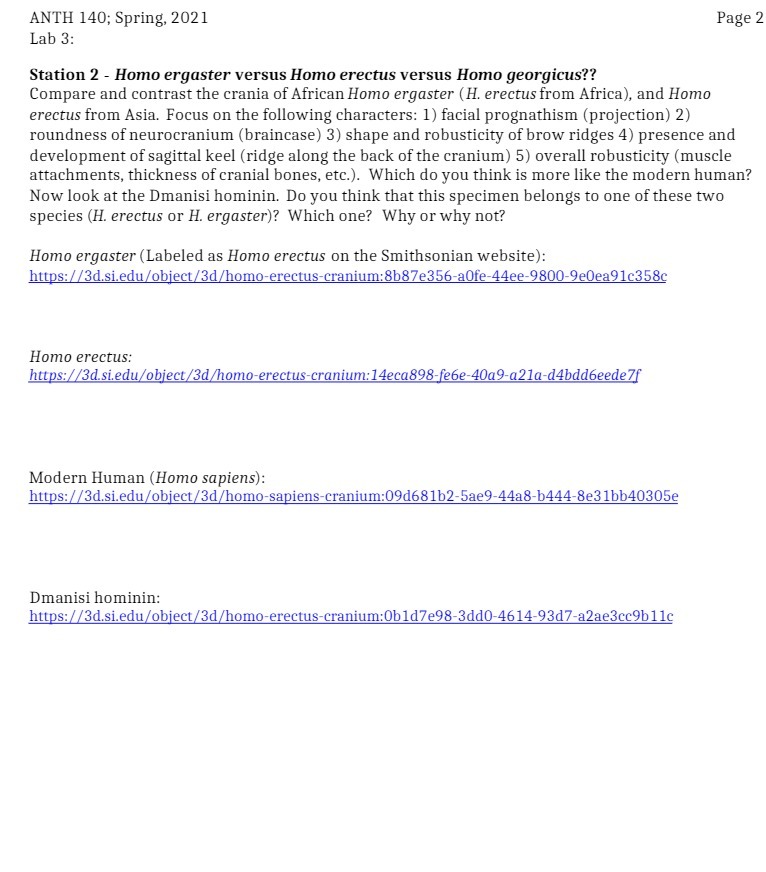 ANTH 140; Spring, 2021 Page 2 Lab 3: Station 2 -