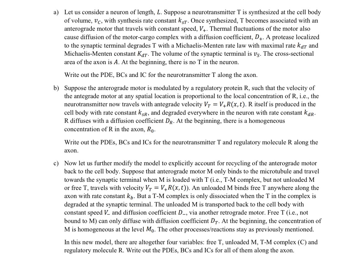 3. Neurons depend on molecular motors to actively