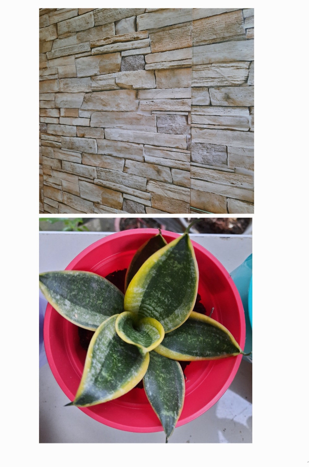 Kindly help me with this one! GEOMETRY REAL LIFE