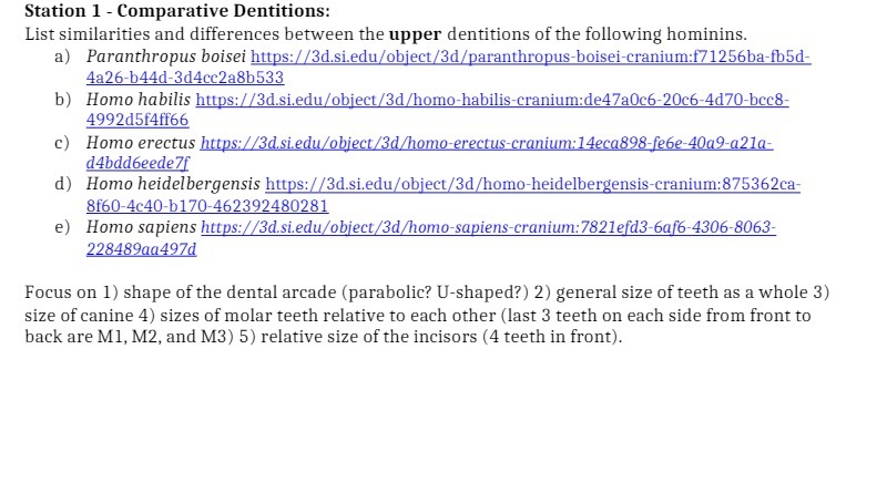Station 1 - Comparative Dentitions: List