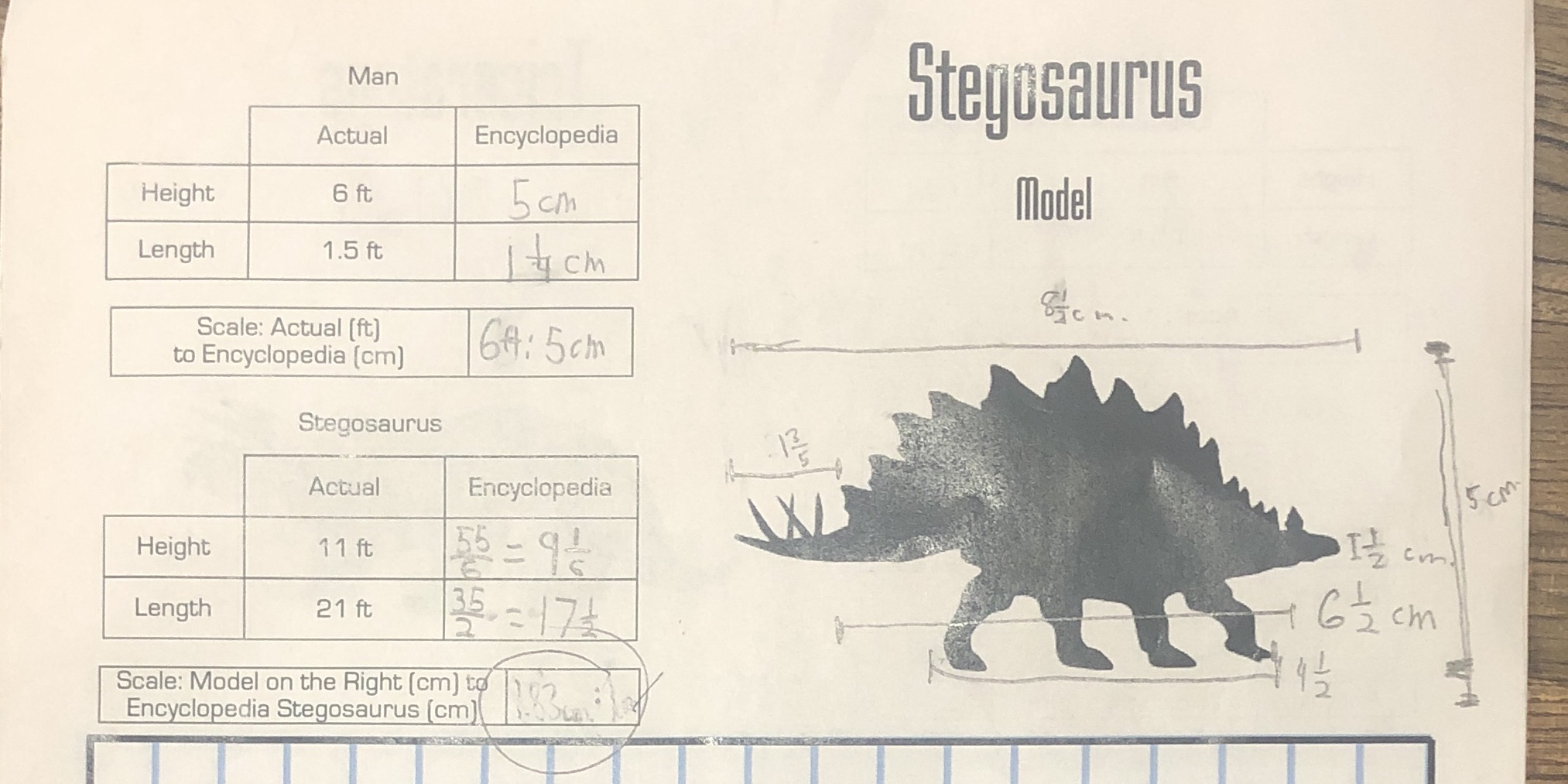 I'm confused on figuring out the scale, pls help