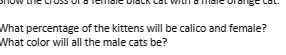 What percentage of the kittens will be calico and