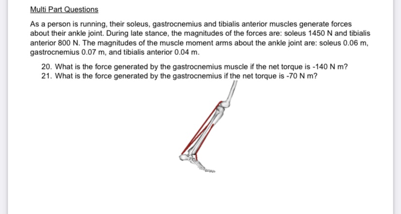 Multi Part Questions As a person is running,