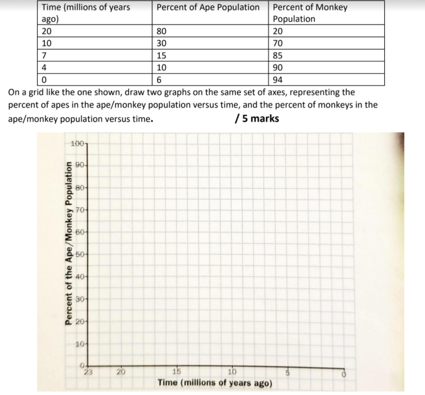 The primates are classified as an order of