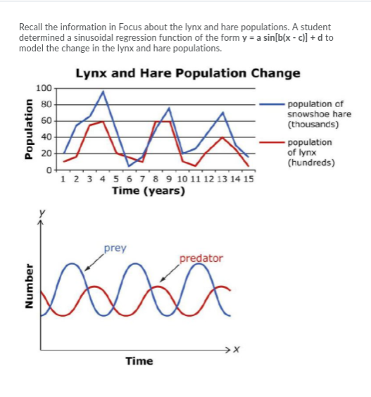 Recall the information in Focus about the lynx