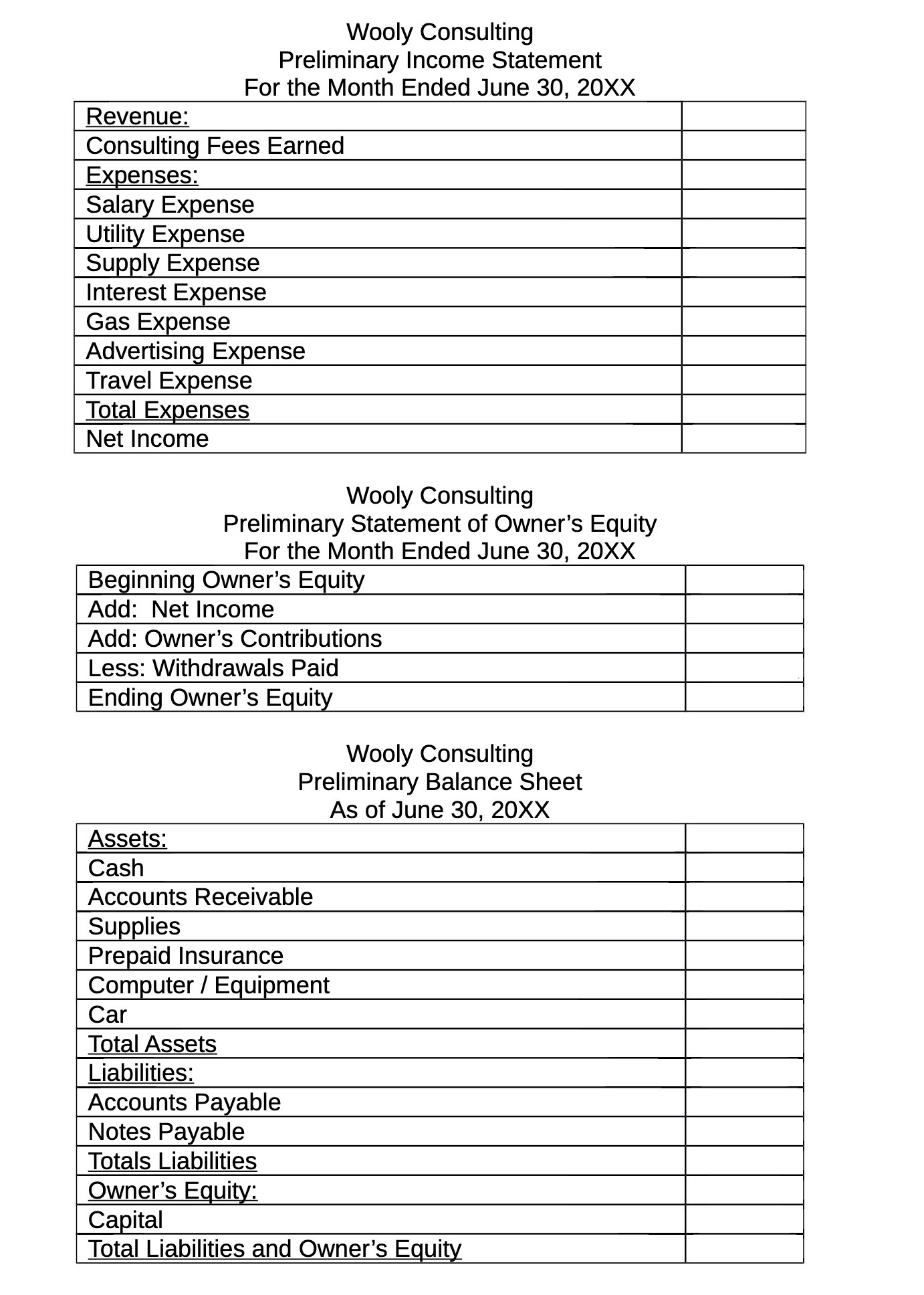 Wooly Consulting Preliminary Income Statement For