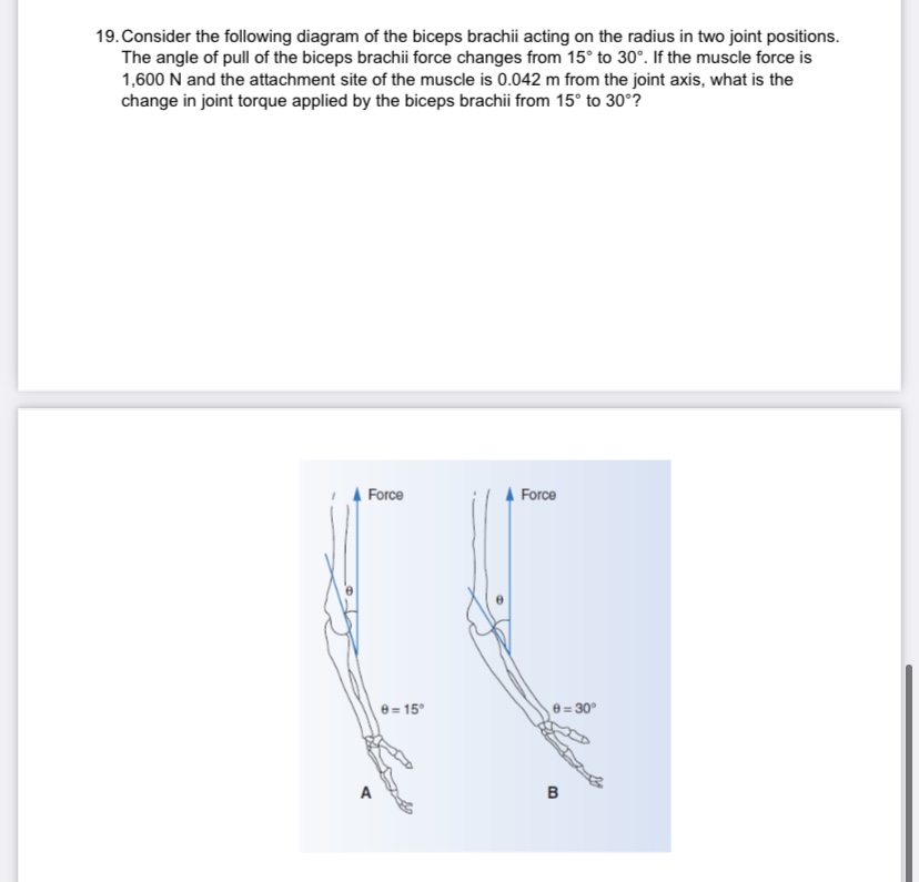 19. Consider the following diagram of the biceps