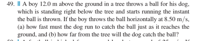 Please explain to me step by step. 49. Fri II A