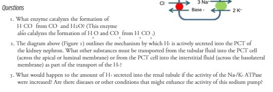 CI- 3 Na' Questions Base - 2K. 1. What