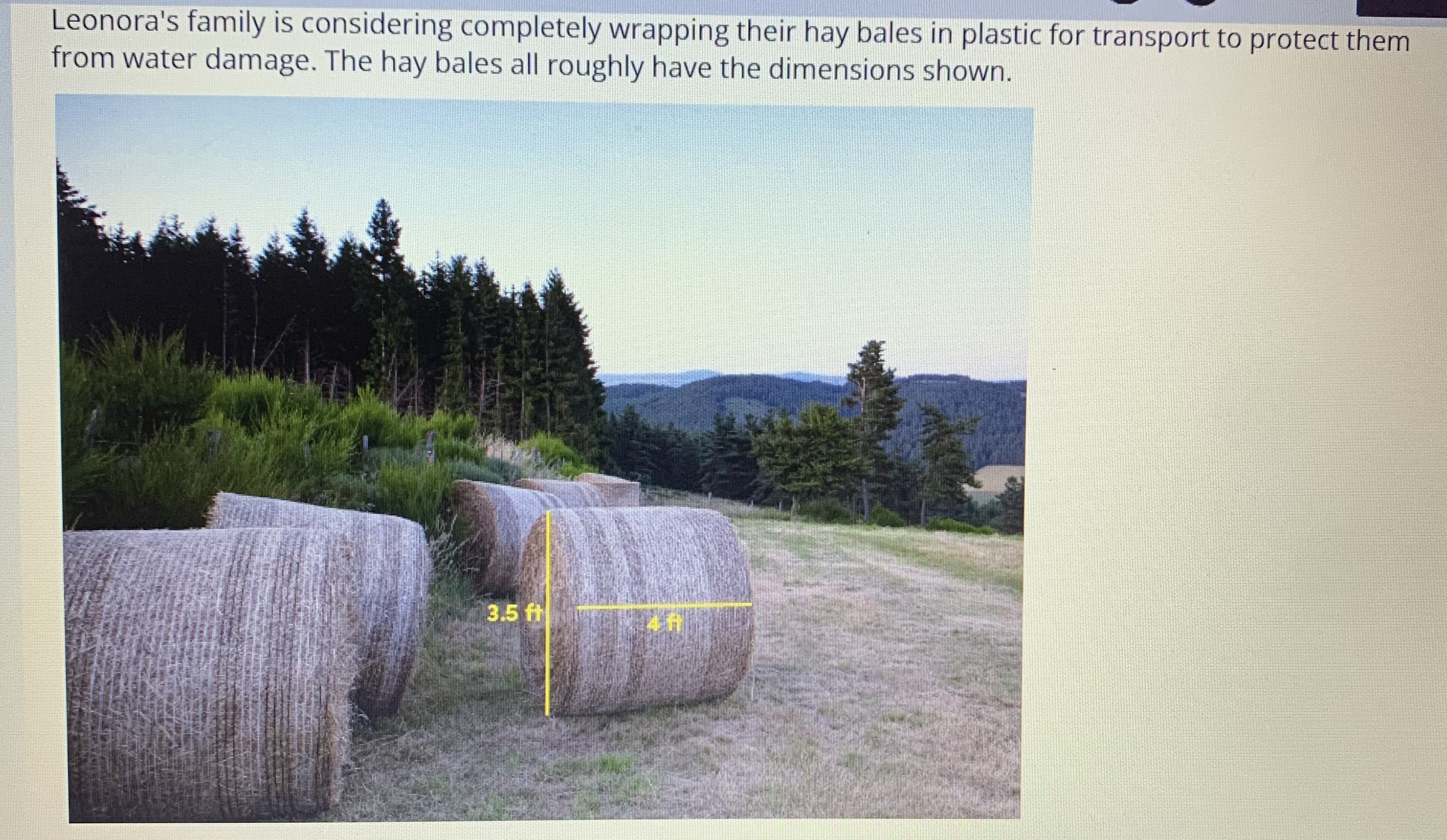 Leonora's family is considering completely