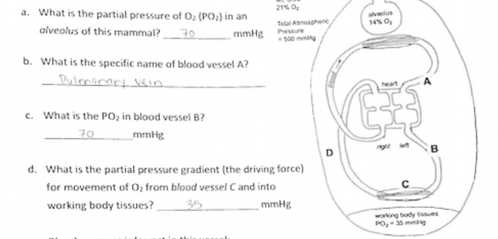 21% OF a. What is the partial pressure of Oz