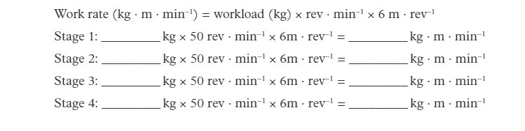 Work rate (kg . m . min ]) = workload (kg) x rev