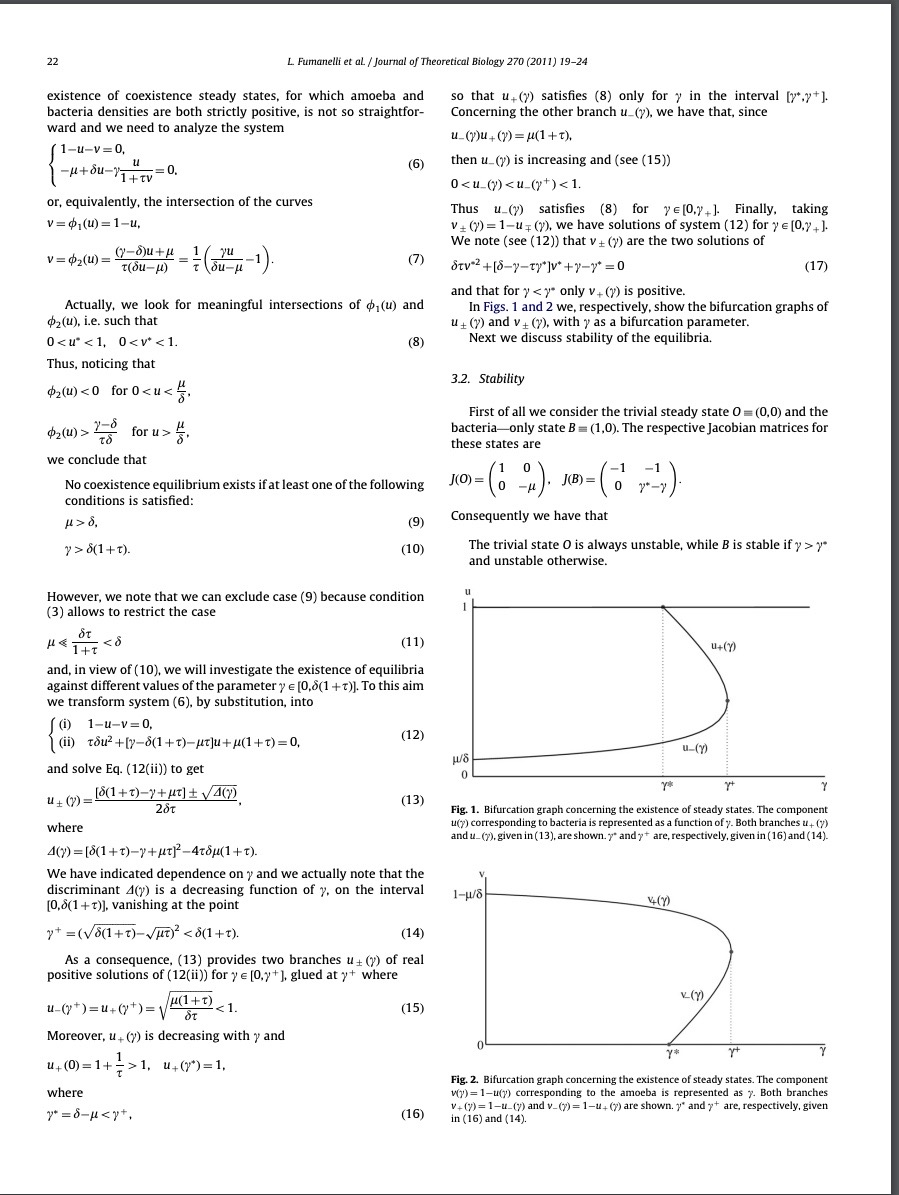 In the attached, could you explain to me please