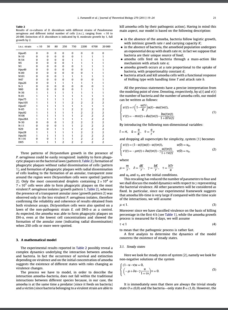 In the attached, could you explain to me please