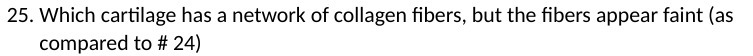 25. Which cartilage has a network of collagen
