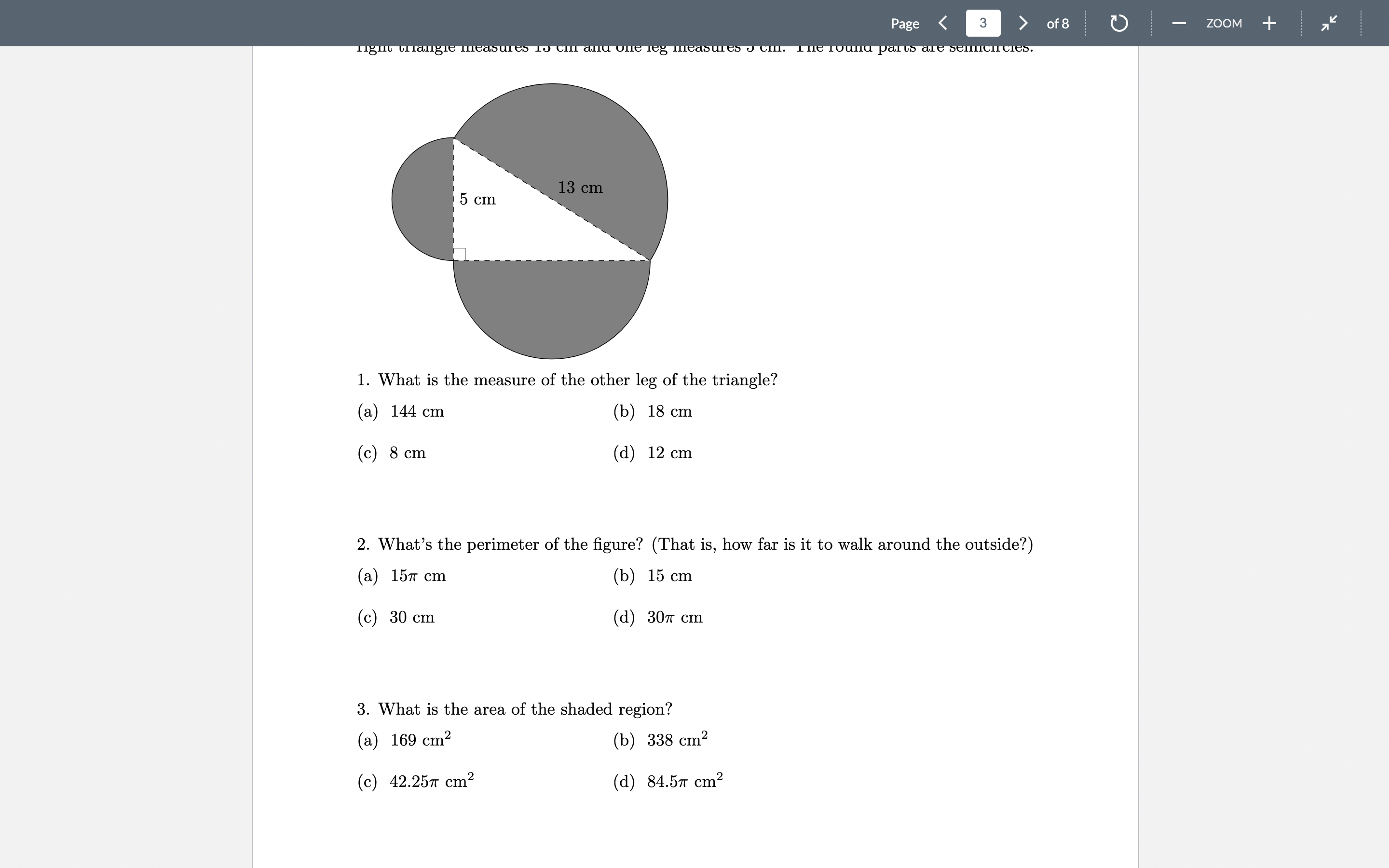 Page 3 of 8 ZOOM + Multiple Choice Instructions: