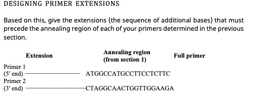 DESIGNING PRIMER EXTENSIONS Based on this, give