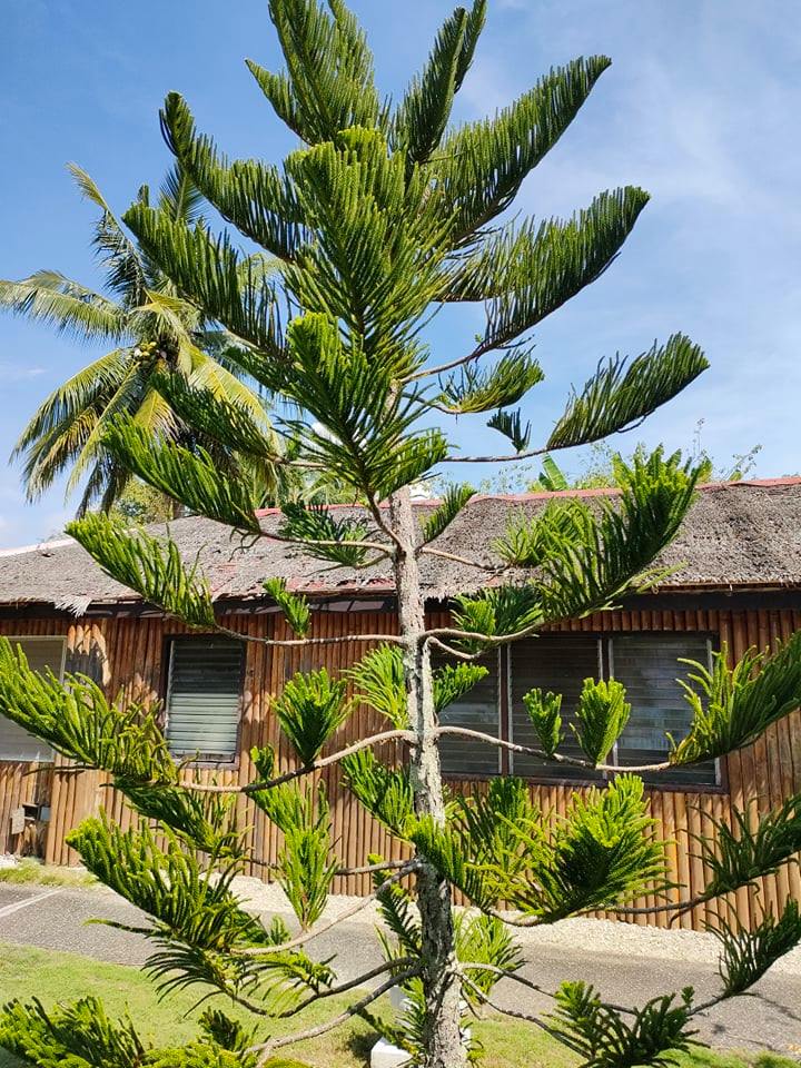 MATHEMATICS IN THE MODERN WORLD INSTRUCTION: I