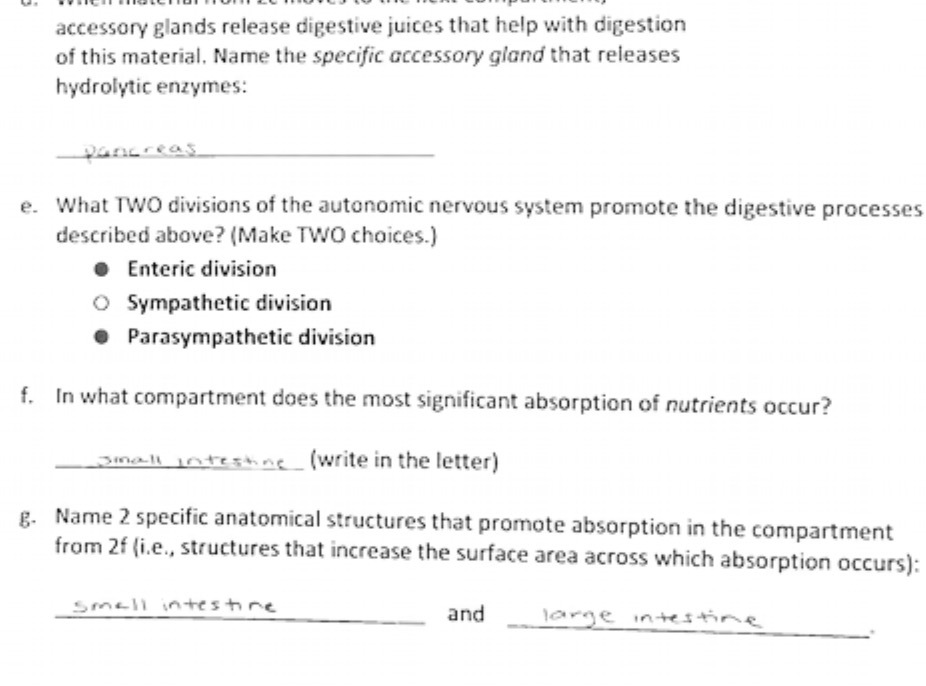 accessory glands release digestive juices that
