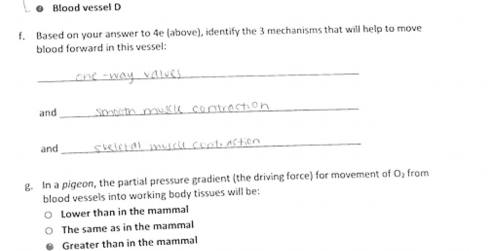L e Blood vessel D f. Based on your answer to 4e