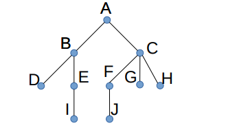 Question1 Answer the questions about the rooted