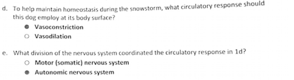 d. To help maintain homeostasis during the