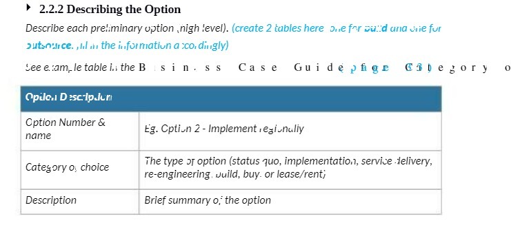 2.2.2 Describing the Option Describe each