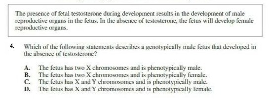 The presence of fetal testosterone during